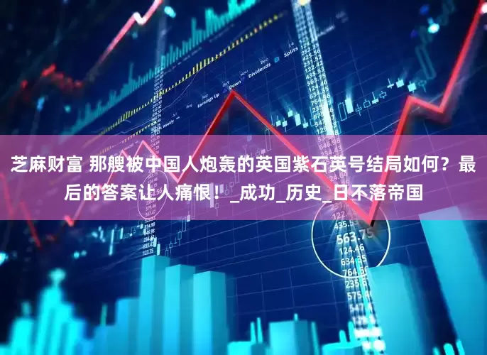 芝麻财富 那艘被中国人炮轰的英国紫石英号结局如何？最后的答案让人痛恨！_成功_历史_日不落帝国