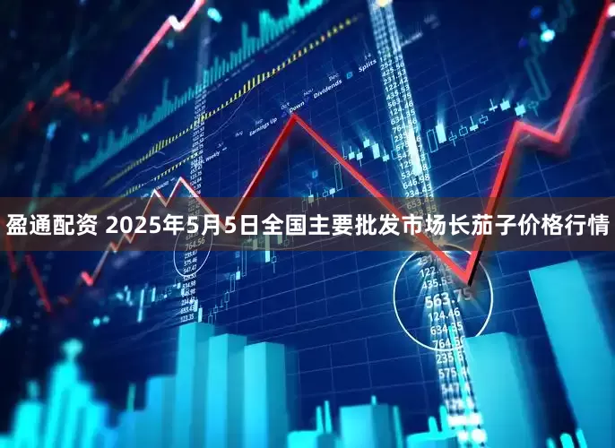 盈通配资 2025年5月5日全国主要批发市场长茄子价格行情