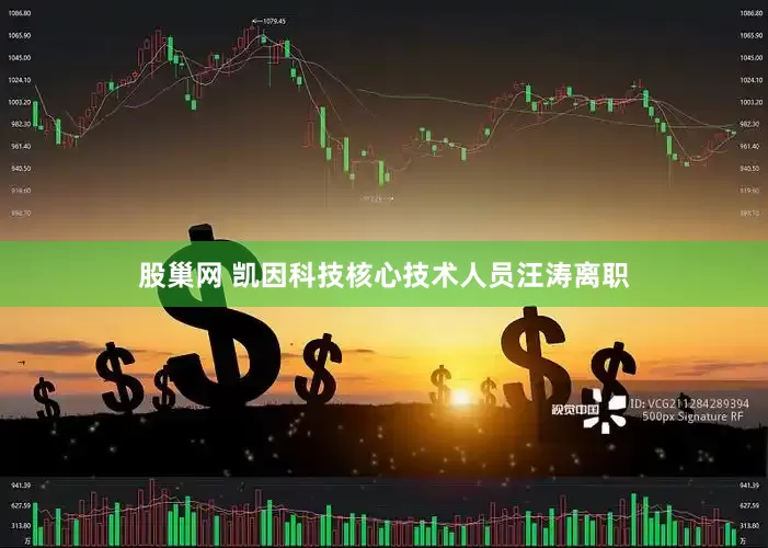 股巢网 凯因科技核心技术人员汪涛离职