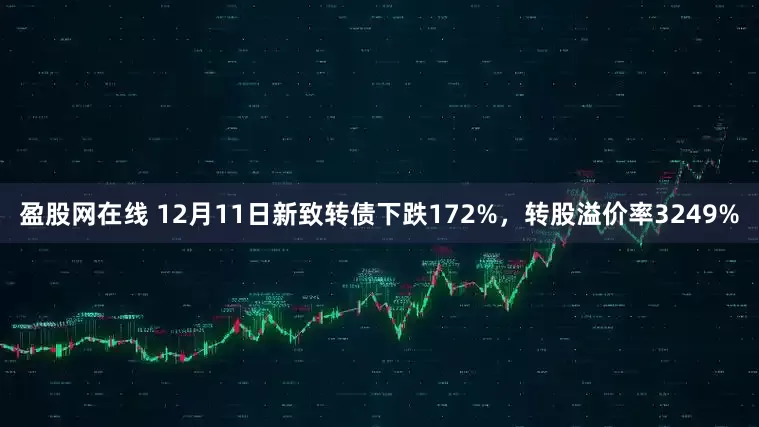 盈股网在线 12月11日新致转债下跌172%，转股溢价率3249%